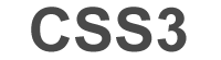 CSS3 tech icon